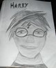 Kniha Harry Potter a Princ dvoj� krve :)
