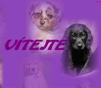 http://www.velkykniraci.blog.cz