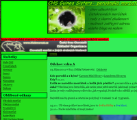 http://www.guineasisters.blog.cz